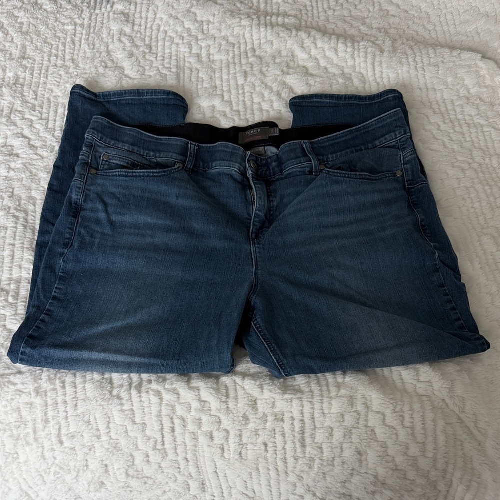 Torrid Dark Blue Jeggings